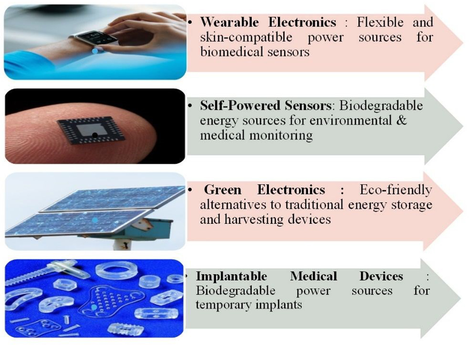 A Green Approach to Sustainability: Biodegradable Polymers in ...