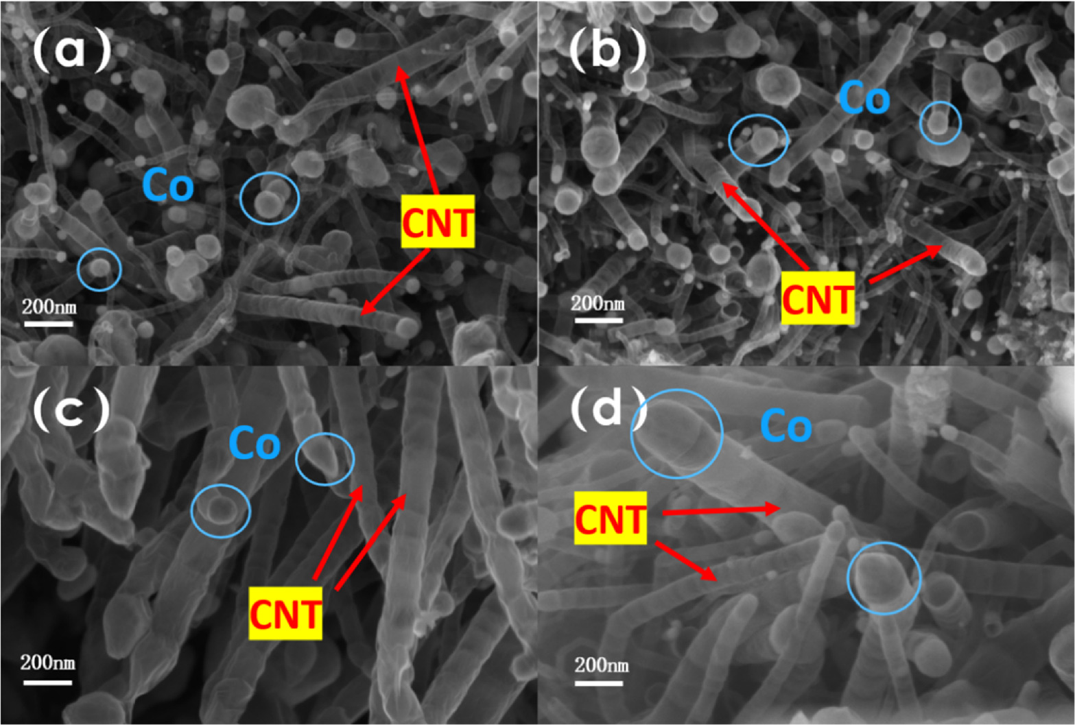 Research on ORR and OER Bifunctional Carbon Nanotubes Catalysts with ...