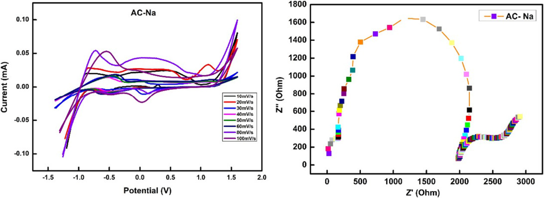 Electrochemical Performances of Metal-Doped Activated Carbon Compounds ...