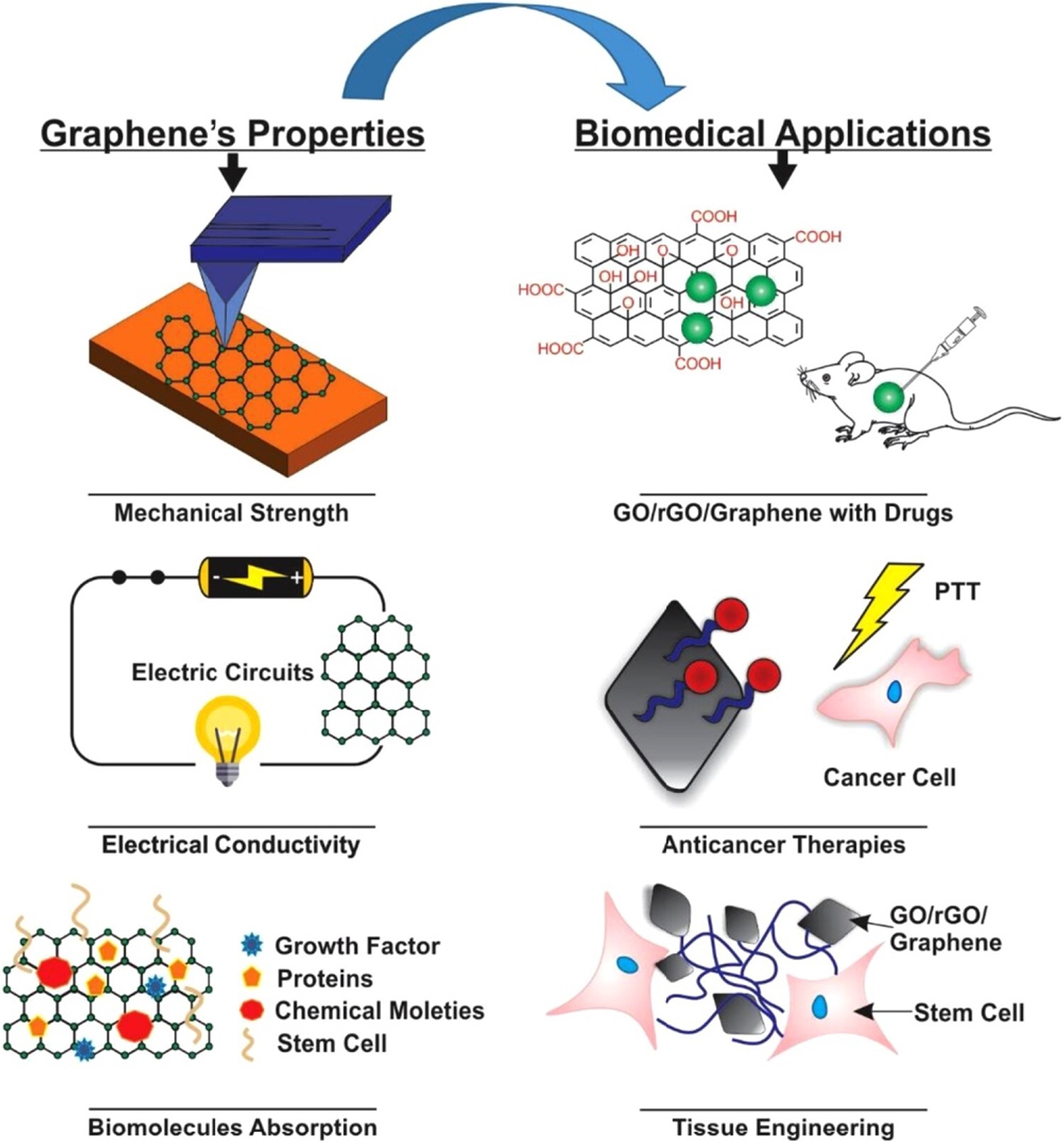 Graphene as a Biomedical Material: Potentials and Perspectives - IOPscience
