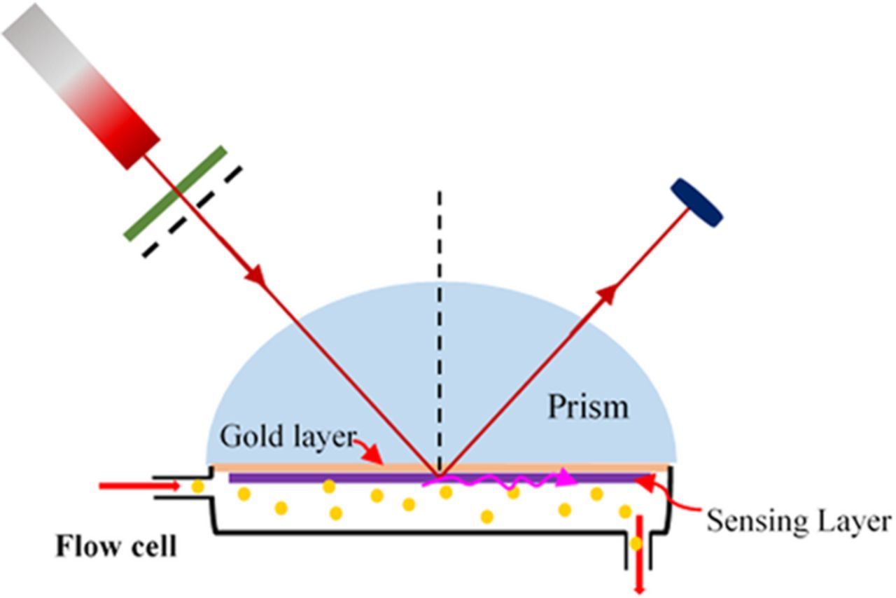 Reduced Graphene Oxide Decorated with Polypyrrole Nanoparticles Layer ...