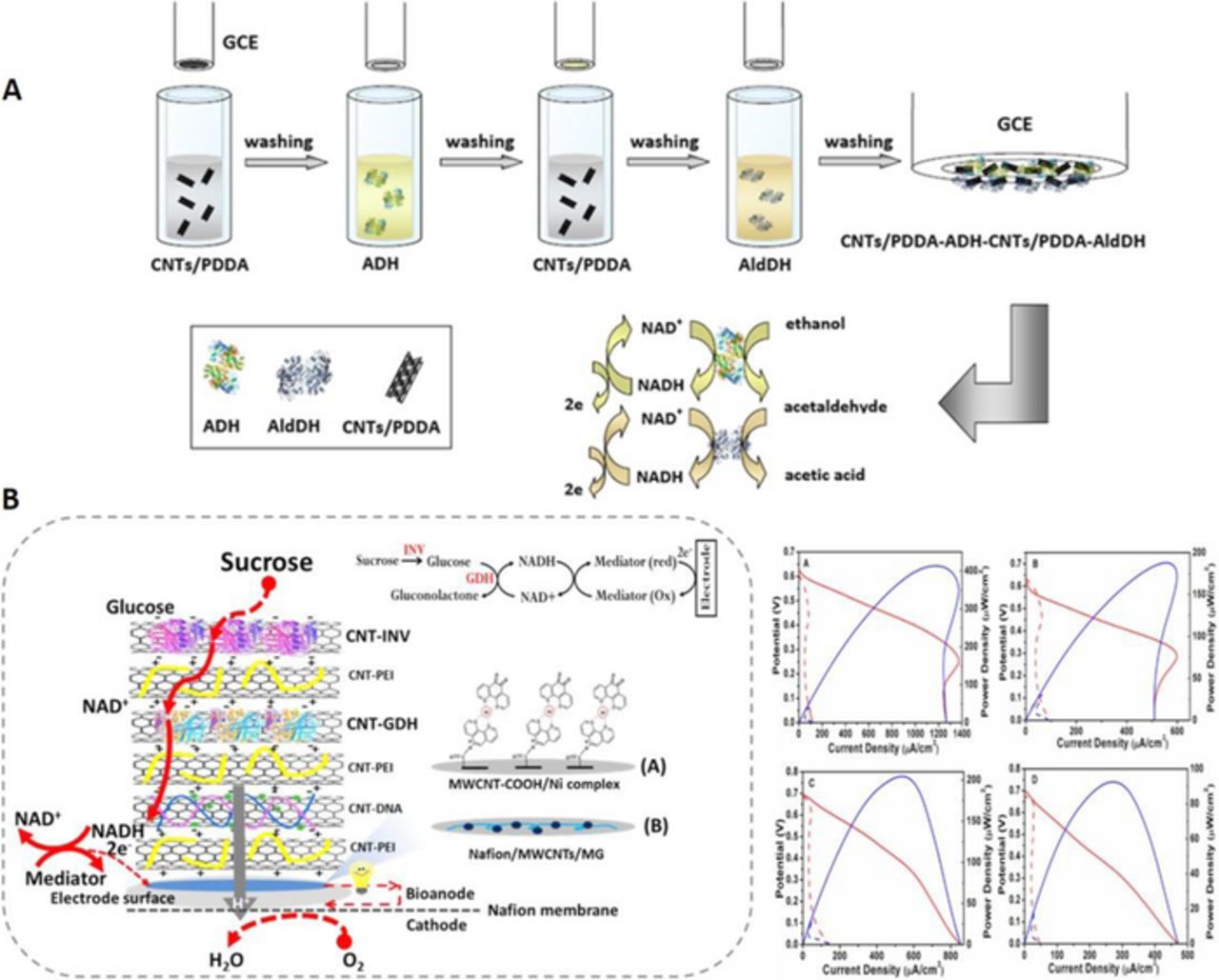 Review—Nanocarbon-Based Multi-Functional Biointerfaces: Design and ...
