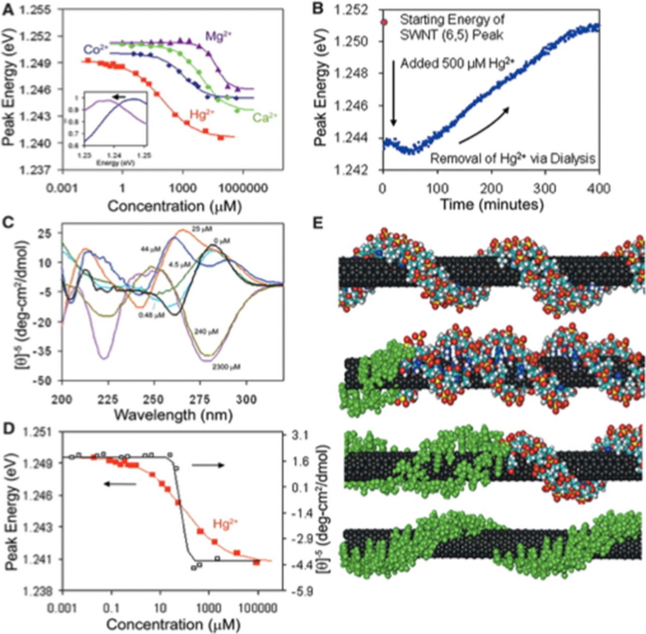 Swcnt Sensor Array Review—Engineering the Selectivity of the DNA-SWCNT Sensor - IOPscience