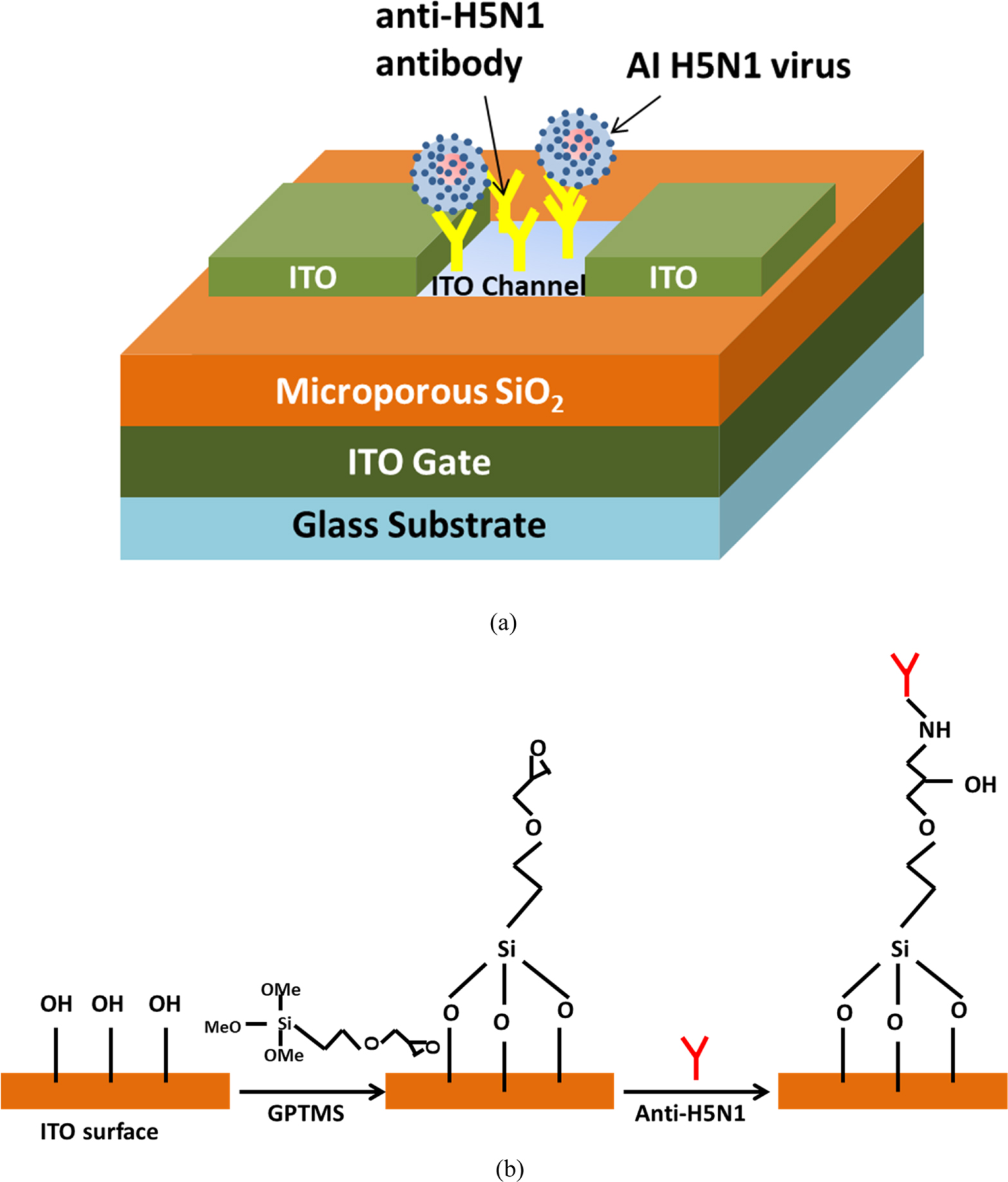 Review—Thin-Film Transistors (TFTs) for Highly Sensitive Biosensing ...