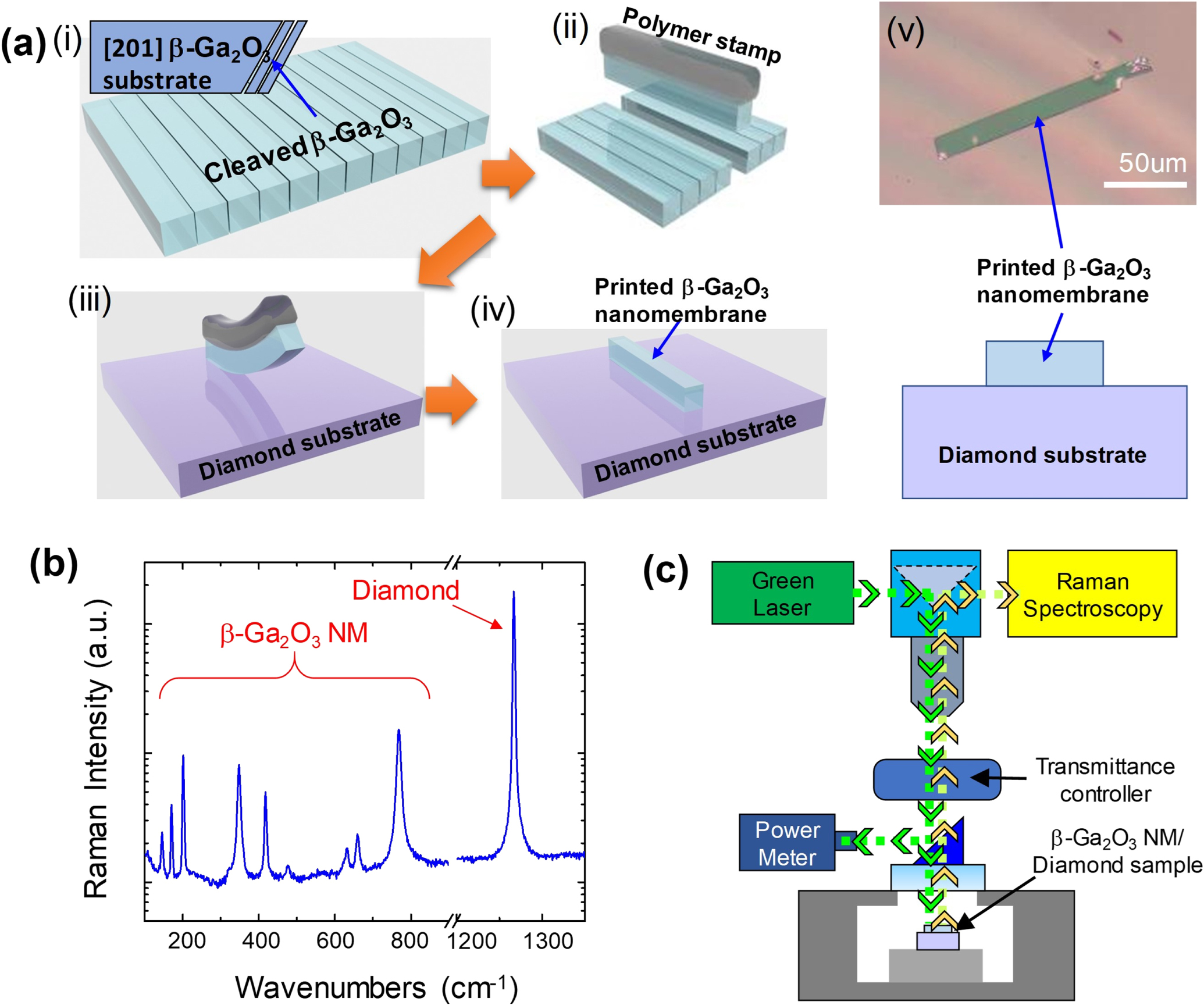 Investigation of Thermal Properties of β-Ga2O3 Nanomembranes on Diamond ...