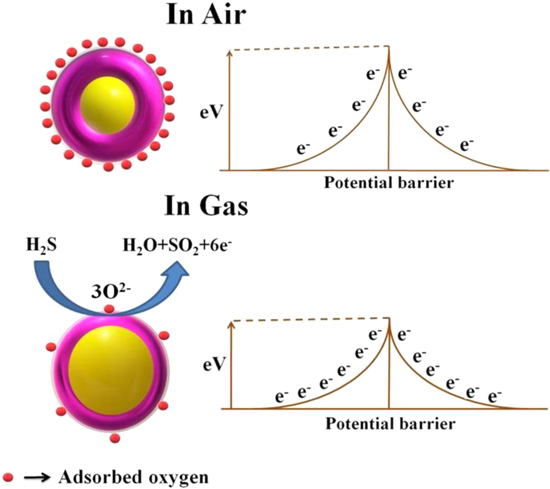 Highly Sensitive and Selective H2S Gas Sensor Fabricated with β-Ga2O3 ...