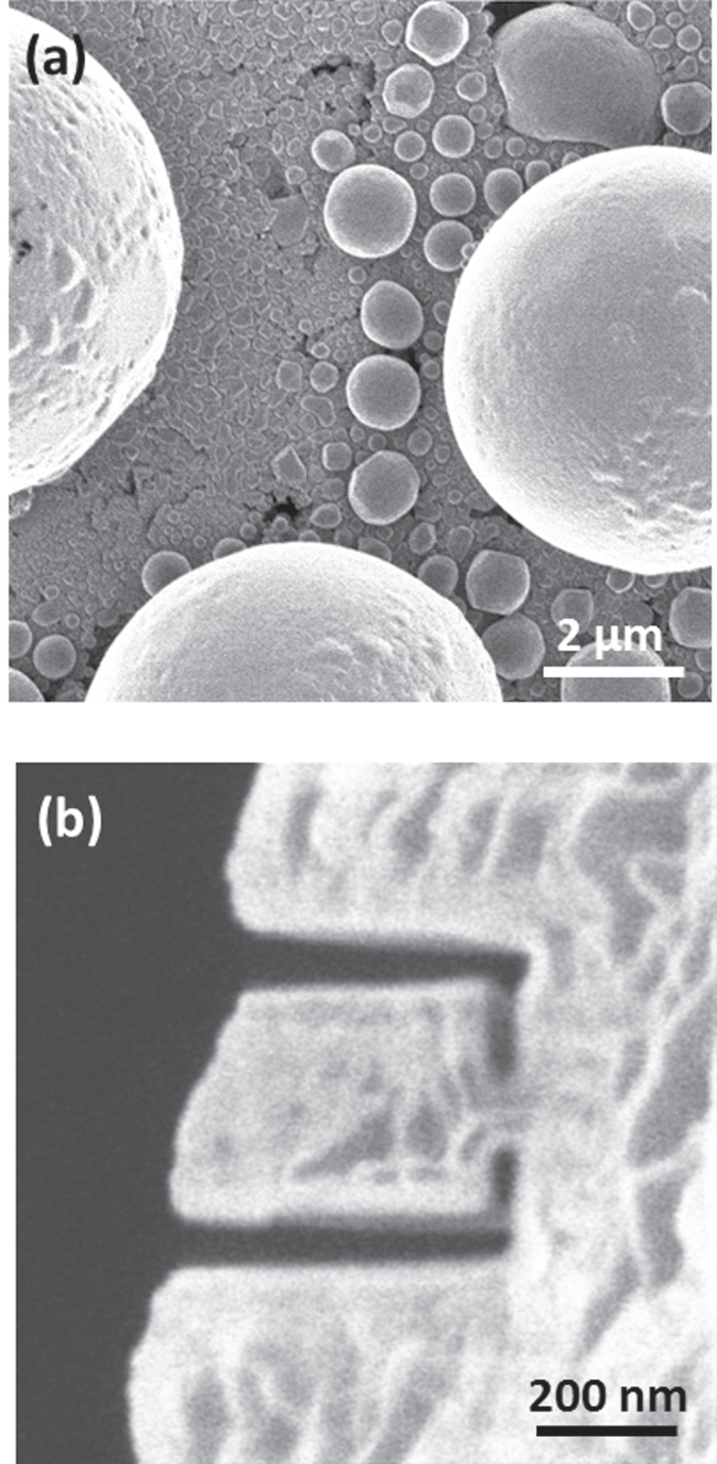 High-brightness Cs focused ion beam from a cold-atomic-beam ion source ...
