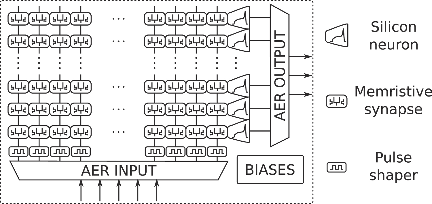 A differential memristive synapse circuit for on-line learning in ...