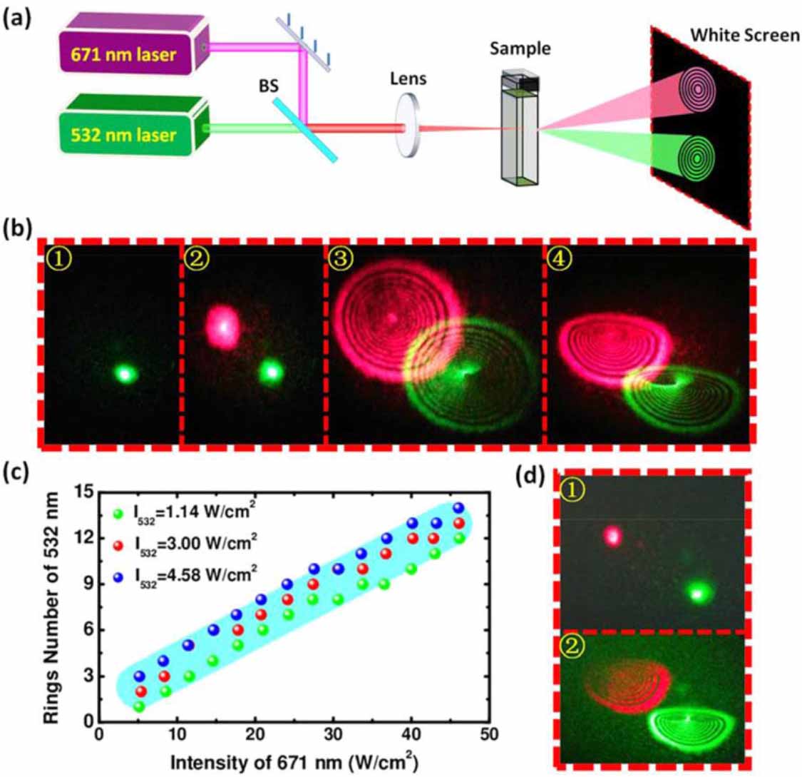 Broadband ultrafast photonics of two-dimensional transition metal ...
