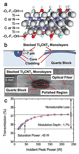 Broadband ultrafast photonics of two-dimensional transition metal ...