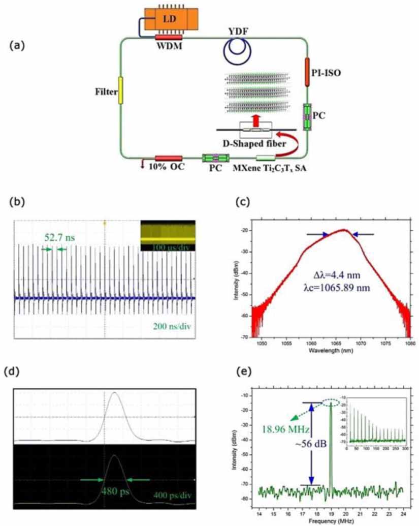Broadband ultrafast photonics of two-dimensional transition metal ...