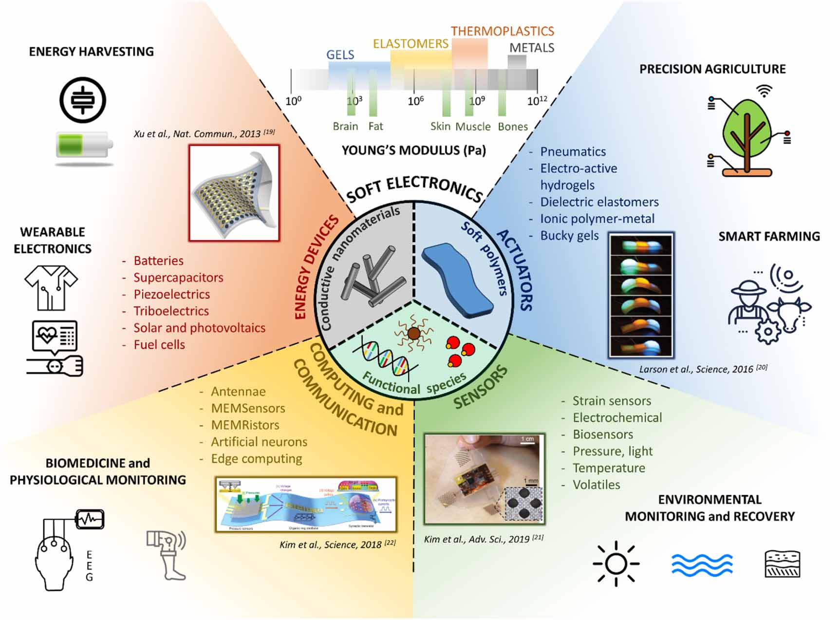Nanomaterials and printing techniques for 2D and 3D soft electronics ...