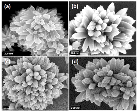 In-situ monitoring of plasmon-induced nanoscale photocatalytic activity ...