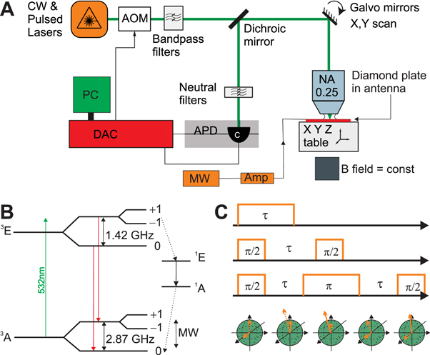Spin properties of NV centers in high-pressure, high-temperature grown ...