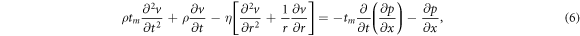 Equation (6)