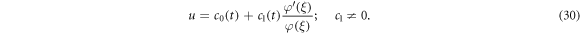Equation (30)