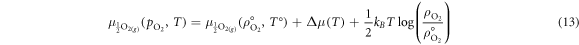 Equation (13)