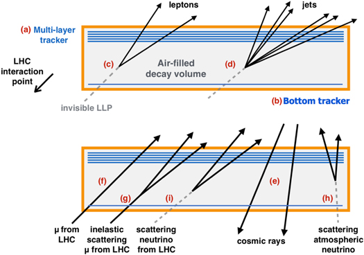 Figure 1. Refer to the following caption and surrounding text.