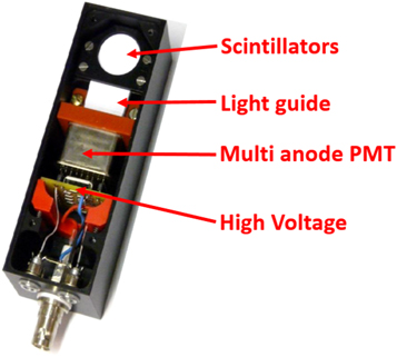 Figure 3. Refer to the following caption and surrounding text.