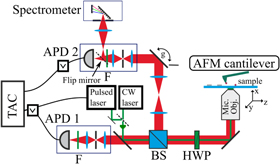 Coupling colloidal quantum dots to a dielectric slot-waveguide - IOPscience