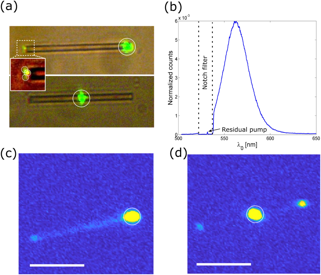 Coupling colloidal quantum dots to a dielectric slot-waveguide - IOPscience