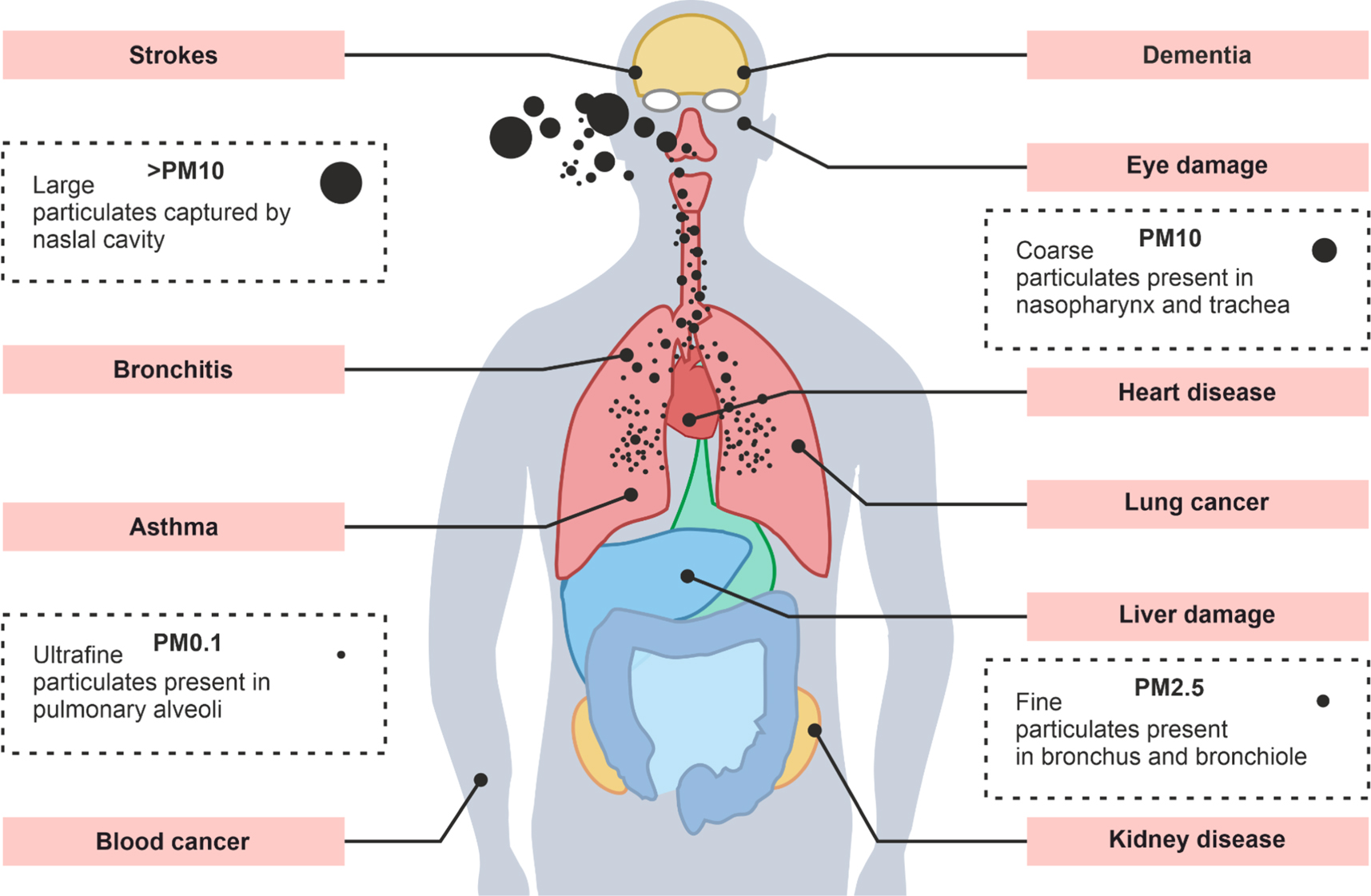 Particulate Mist Deep learning in airborne particulate matter sensing: a review - IOPscience