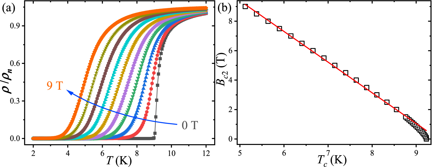 Single photon detection performance of highly disordered NbTiN thin ...