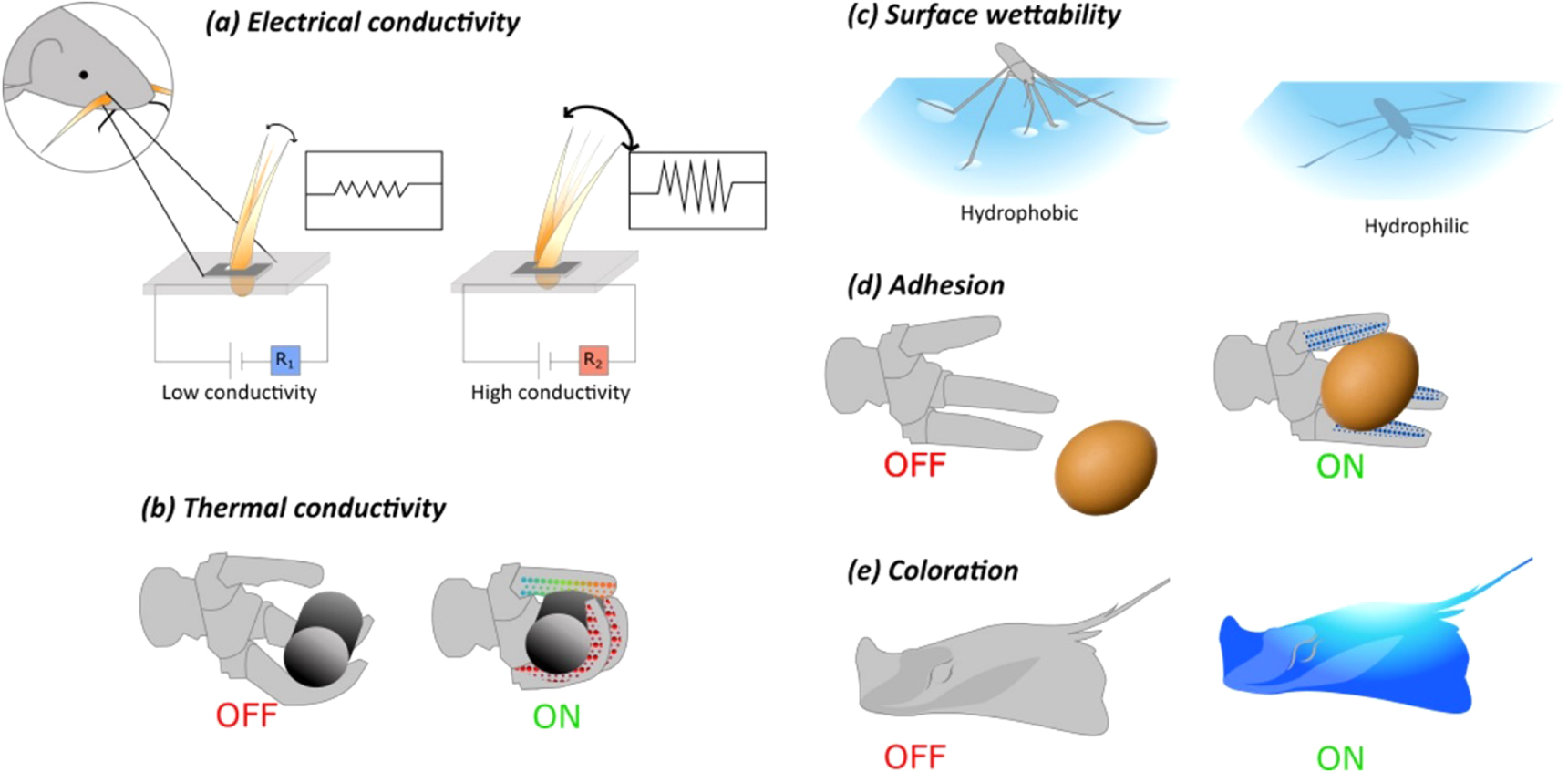 Advanced functional materials for soft robotics: tuning physicochemical ...