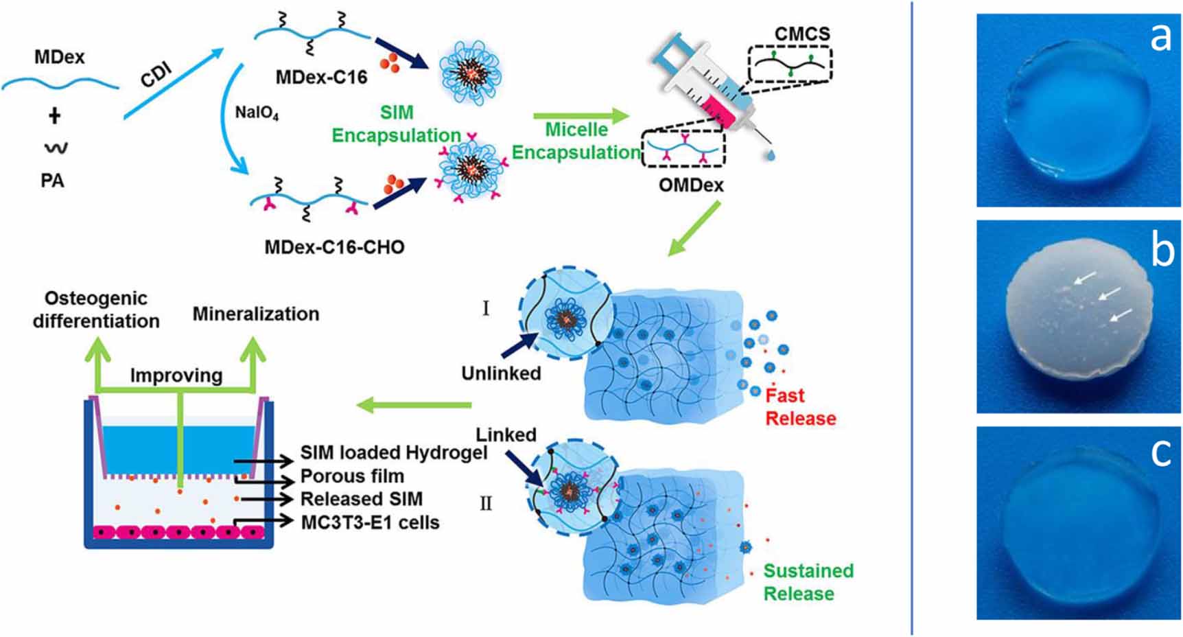 Bio-based composite hydrogels for biomedical applications - IOPscience