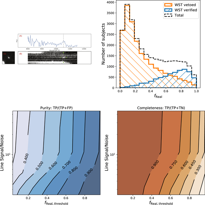 Figure 1. Refer to the following caption and surrounding text.