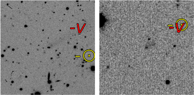 Figure 1. Refer to the following caption and surrounding text.