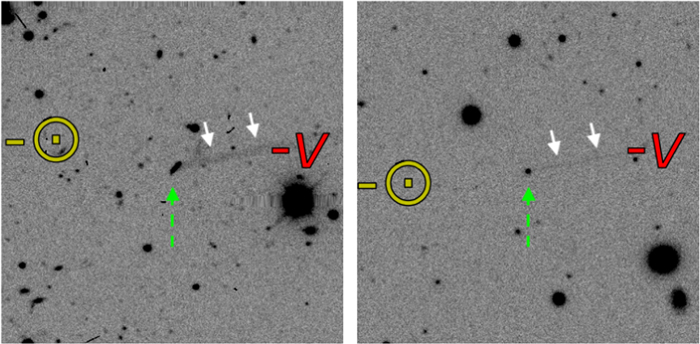 Figure 1. Refer to the following caption and surrounding text.