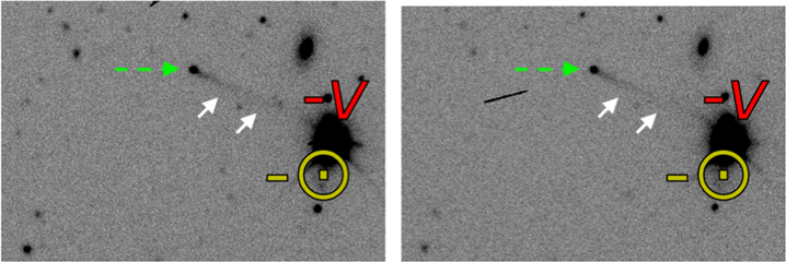 Figure 1. Refer to the following caption and surrounding text.