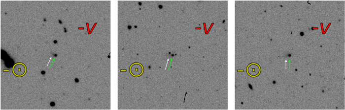 Figure 1. Refer to the following caption and surrounding text.