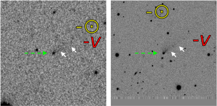 Figure 1. Refer to the following caption and surrounding text.