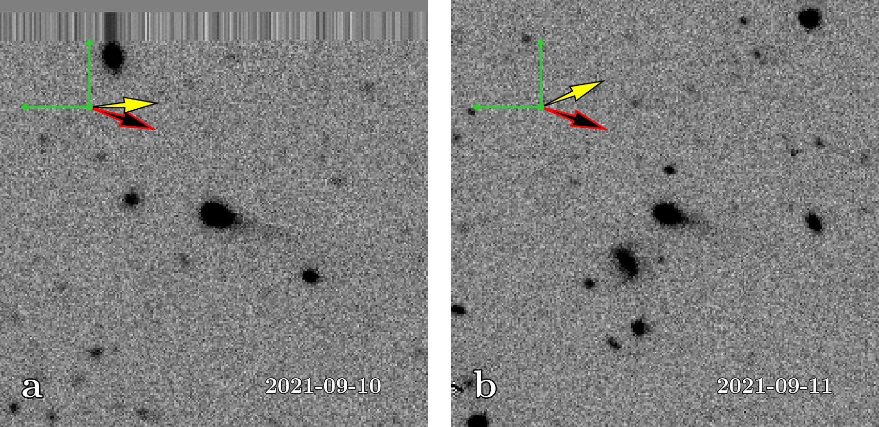 Figure 1. Refer to the following caption and surrounding text.