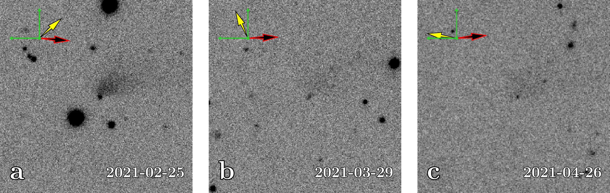 Figure 1. Refer to the following caption and surrounding text.