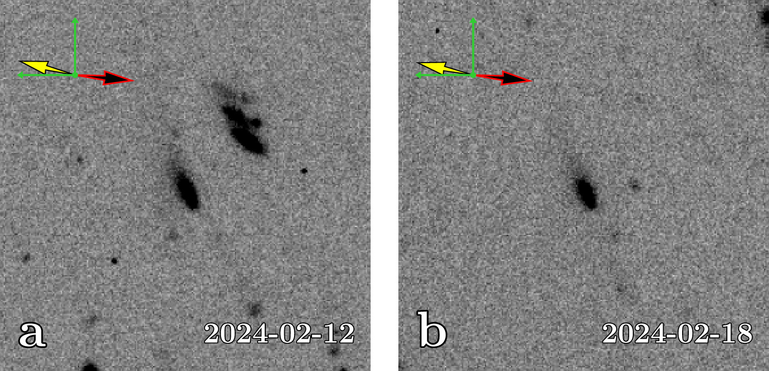 Figure 1. Refer to the following caption and surrounding text.