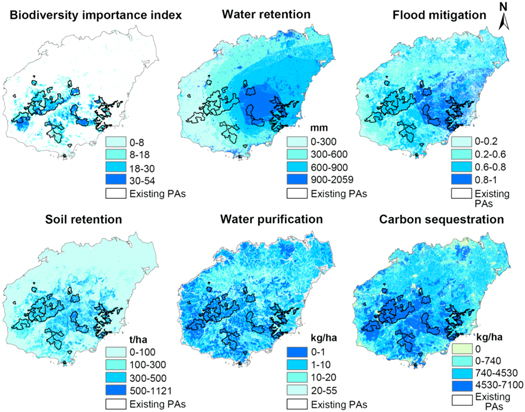 Spatial priorities for biodiversity and ecosystem services considering ...