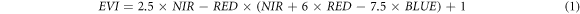 Equation (1)