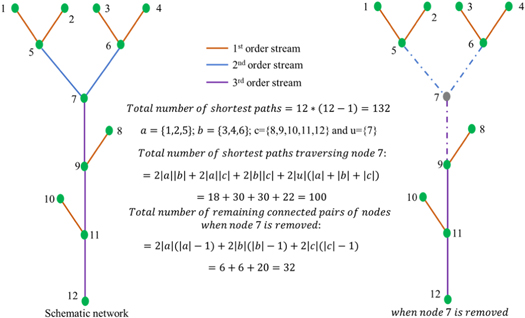 Figure 3. Refer to the following caption and surrounding text.