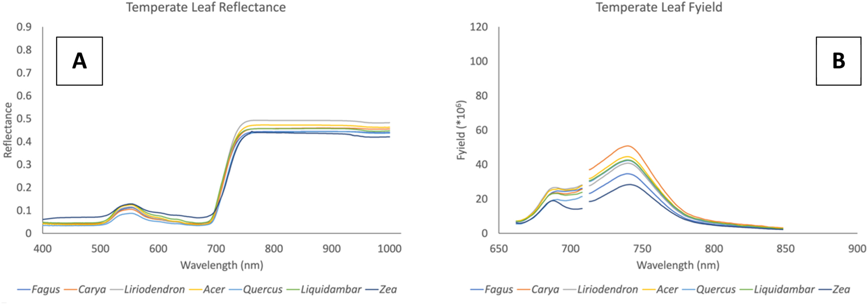 Leaf-level chlorophyll fluorescence and reflectance spectra of high ...