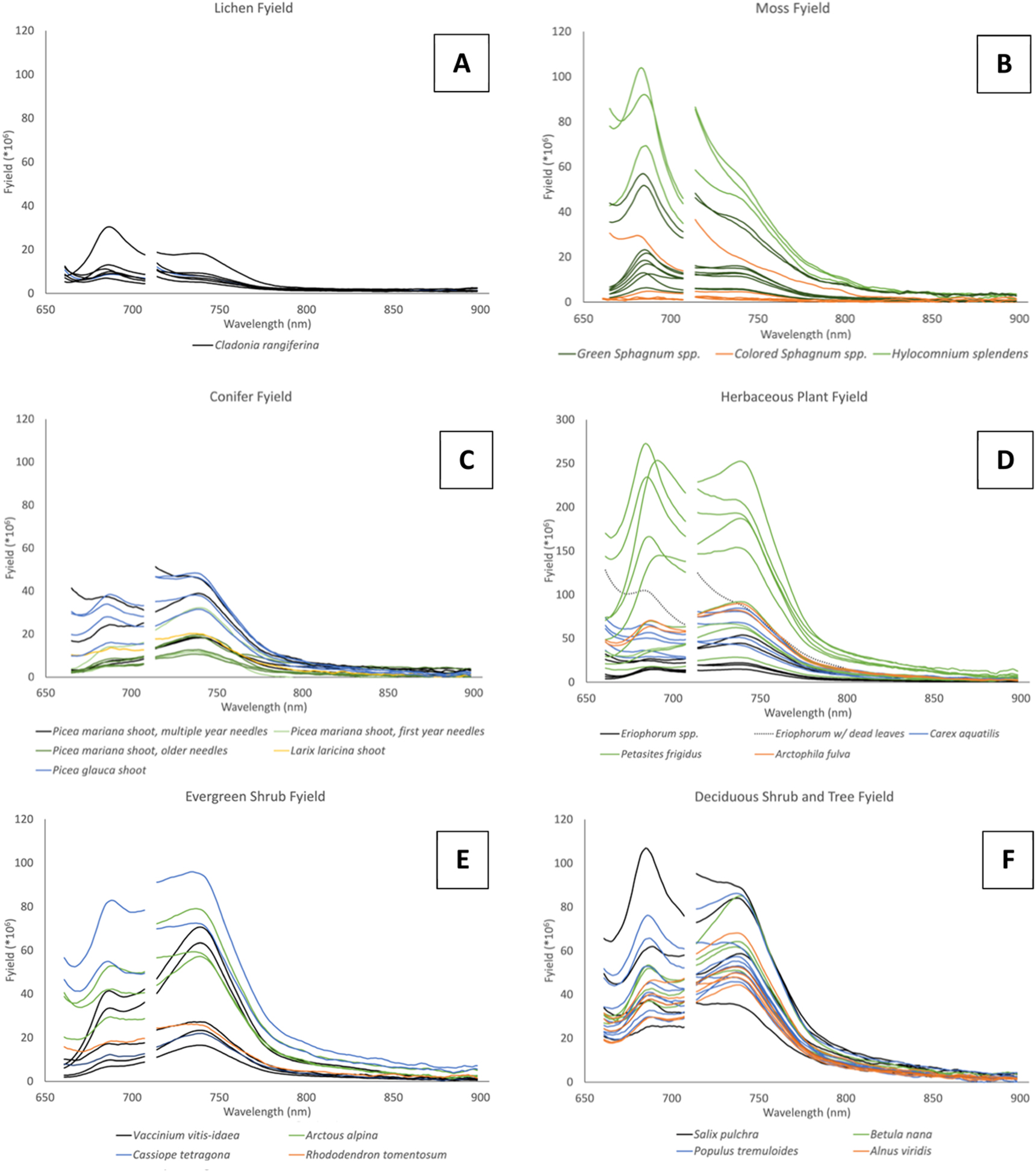 Leaf-level chlorophyll fluorescence and reflectance spectra of high ...