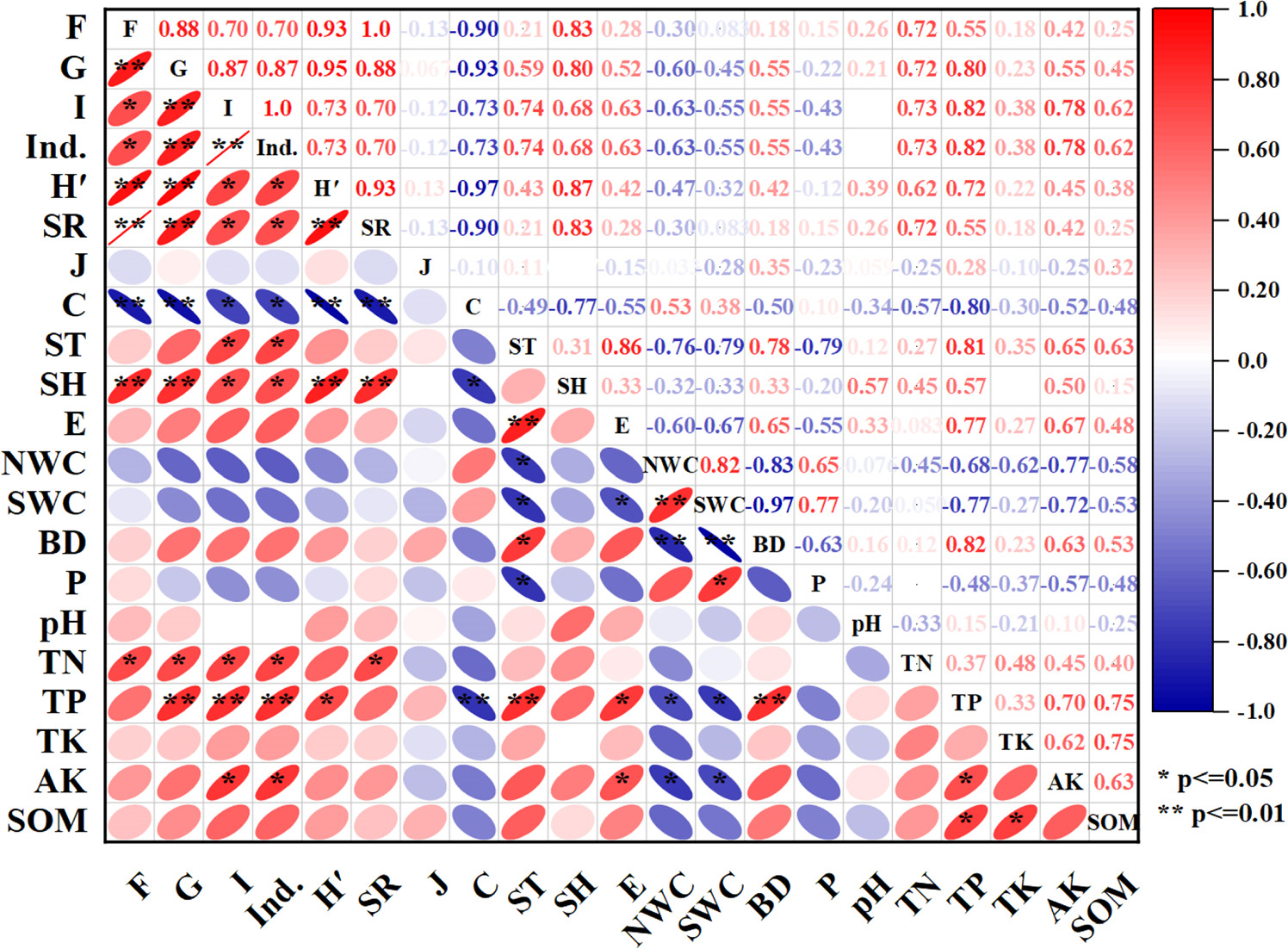 Soil oribatid mite community structure and its relationship with
