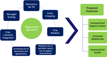 Figure 1. Refer to the following caption and surrounding text.