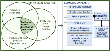 Valuation of pollination services from habitat management: a case study ...