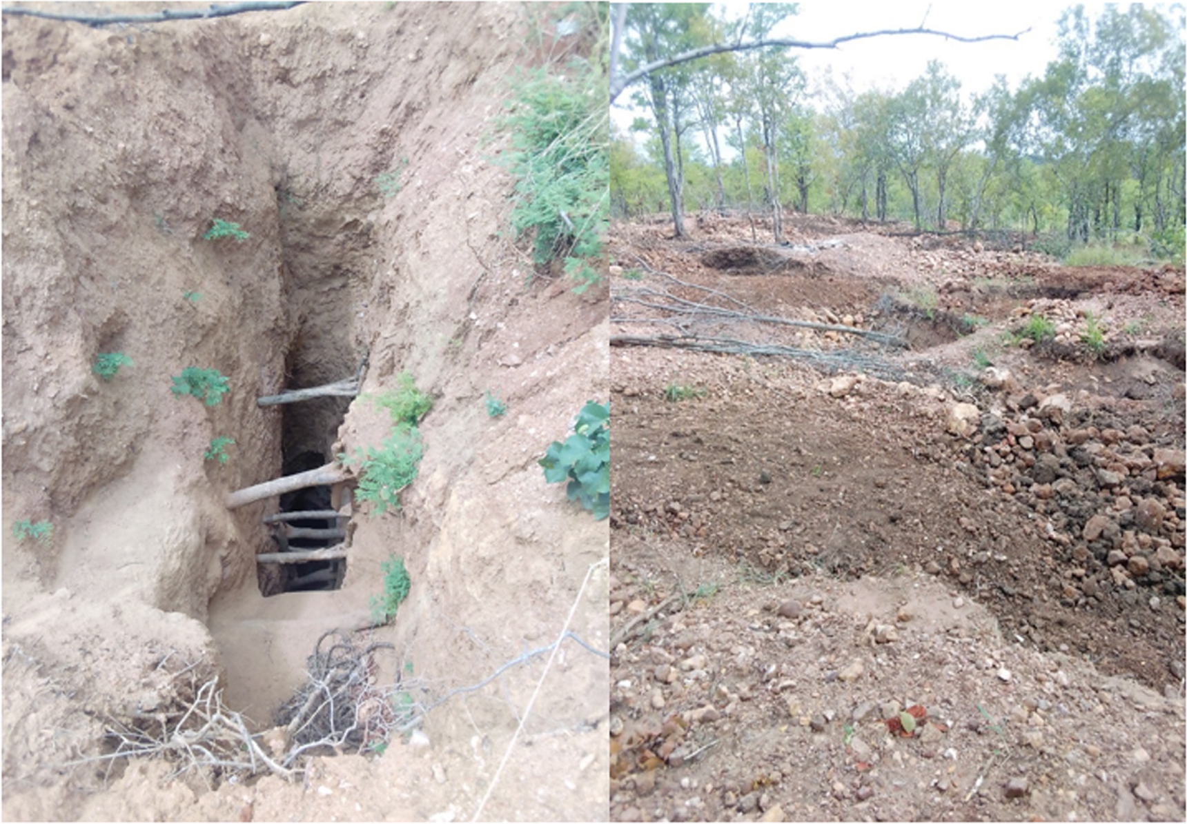 An assessment of the impact of illegal artisanal gold mining on the ...