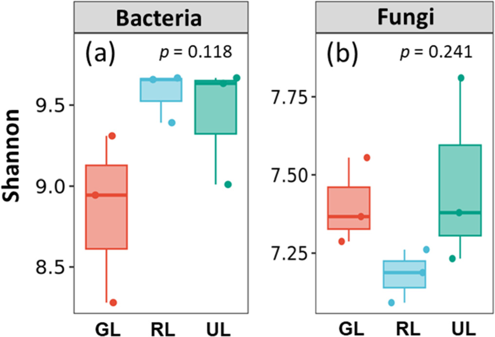 Land use patterns influence in the soil microbial composition - IOPscience