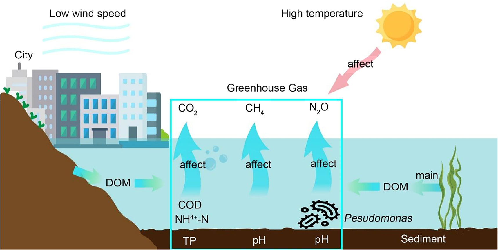 Emission characteristics and influencing factors of greenhouse gas ...