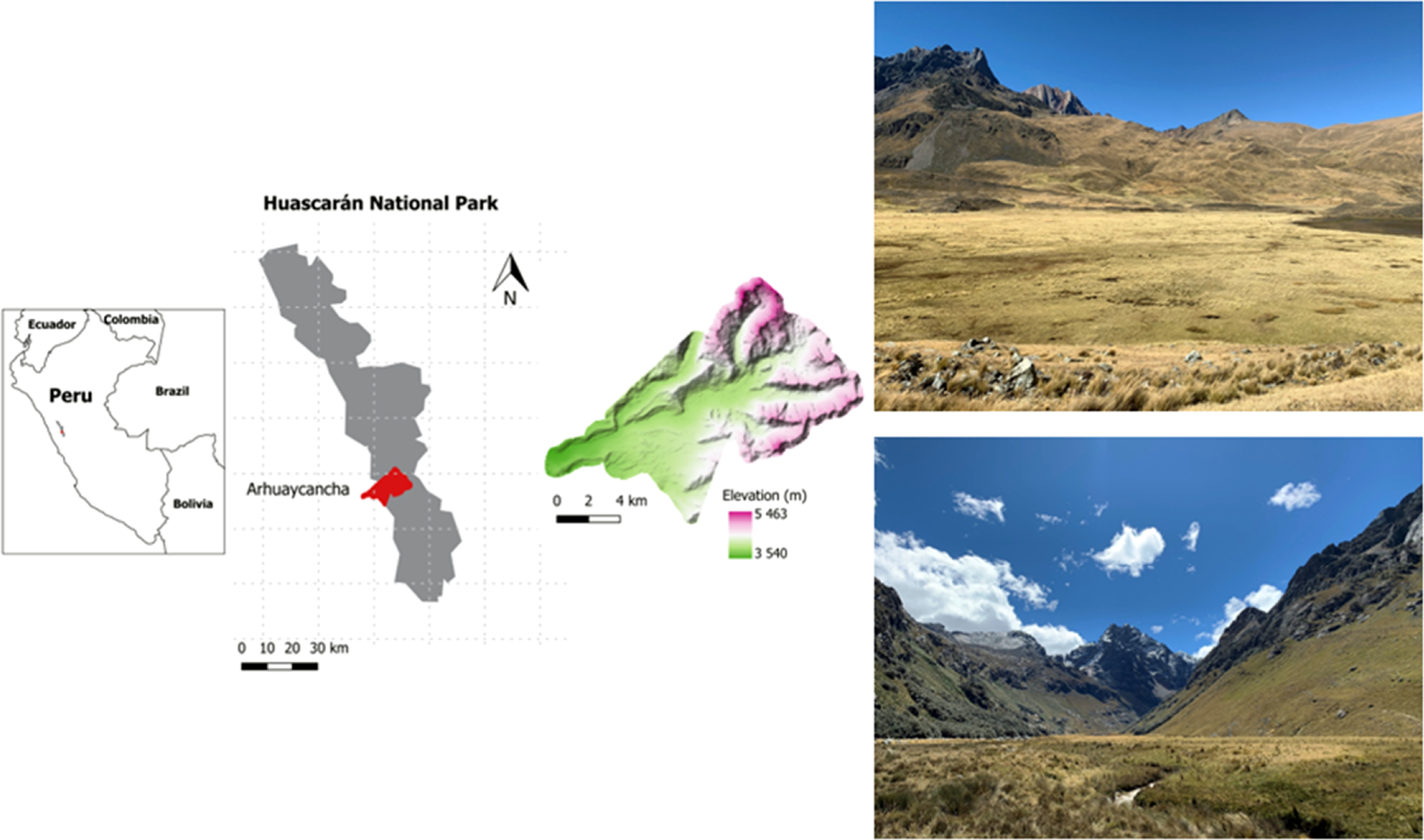 Ecological impacts of climate change on Peruvian Andean ecosystems ...
